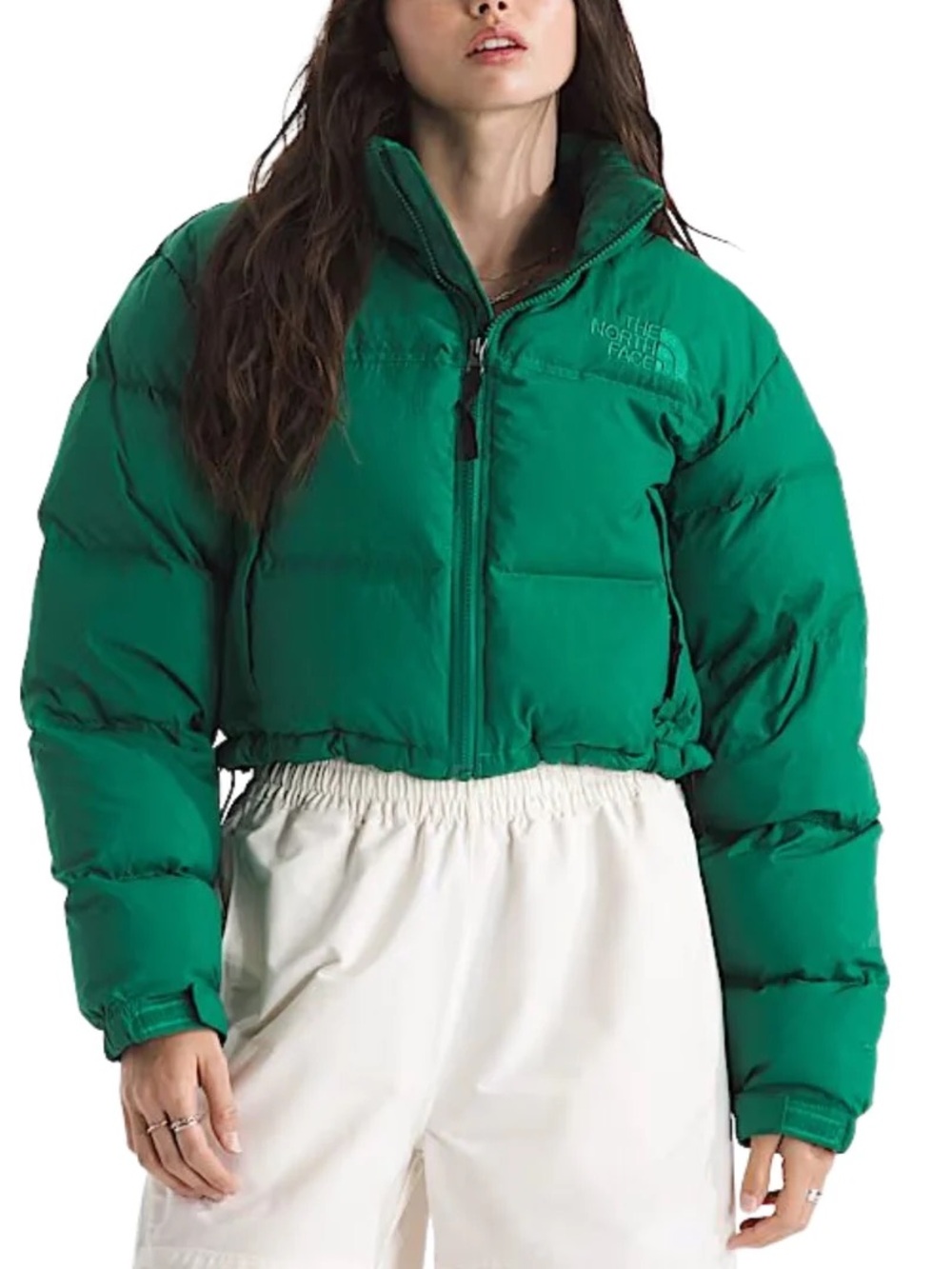 NWT The North Face Evergreen Nuptse Short DTM Jacket- Women's Size Large - Picture 3 of 11